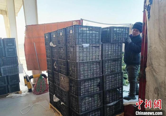 辐射新疆南部五地州 南疆农副产品集散中心试运营(图1)